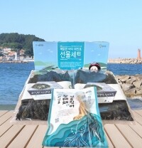 자연산 돌미역200g+황태채200g 세트